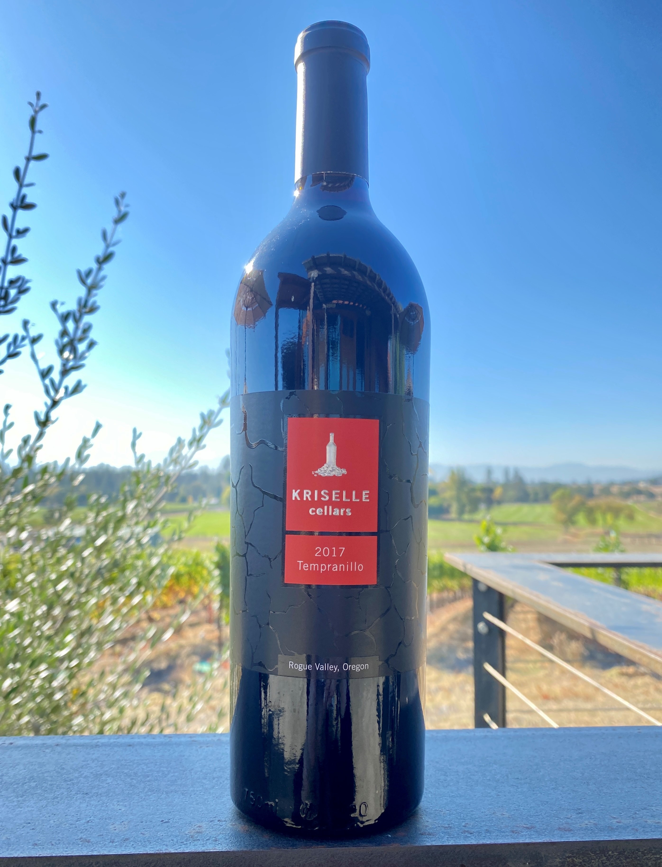 Product Image for 2021 Tempranillo